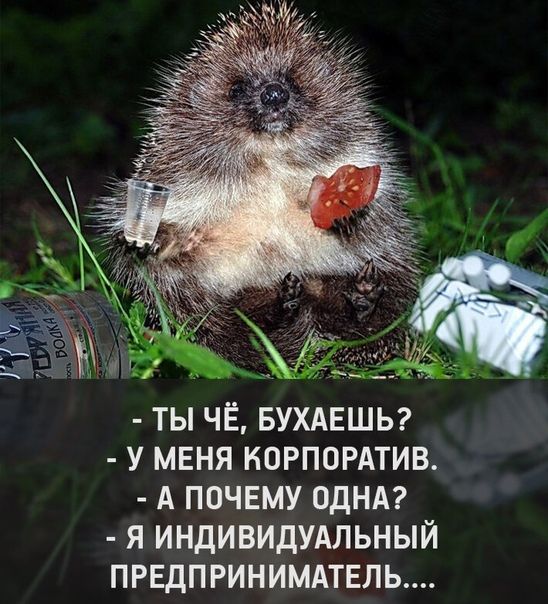 за ТЫ ЧЁ БУХАЕШЬ У МЕНЯ КОРПОРАТИВ А ПОЧЕМУ ОДНА Я ИНДИВИДУАЛЬНЫЙ ПРЕДПРИНИМАТЕЛЬ