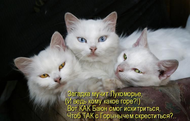 397 ігритьэя чрынычегы тире ьоя
