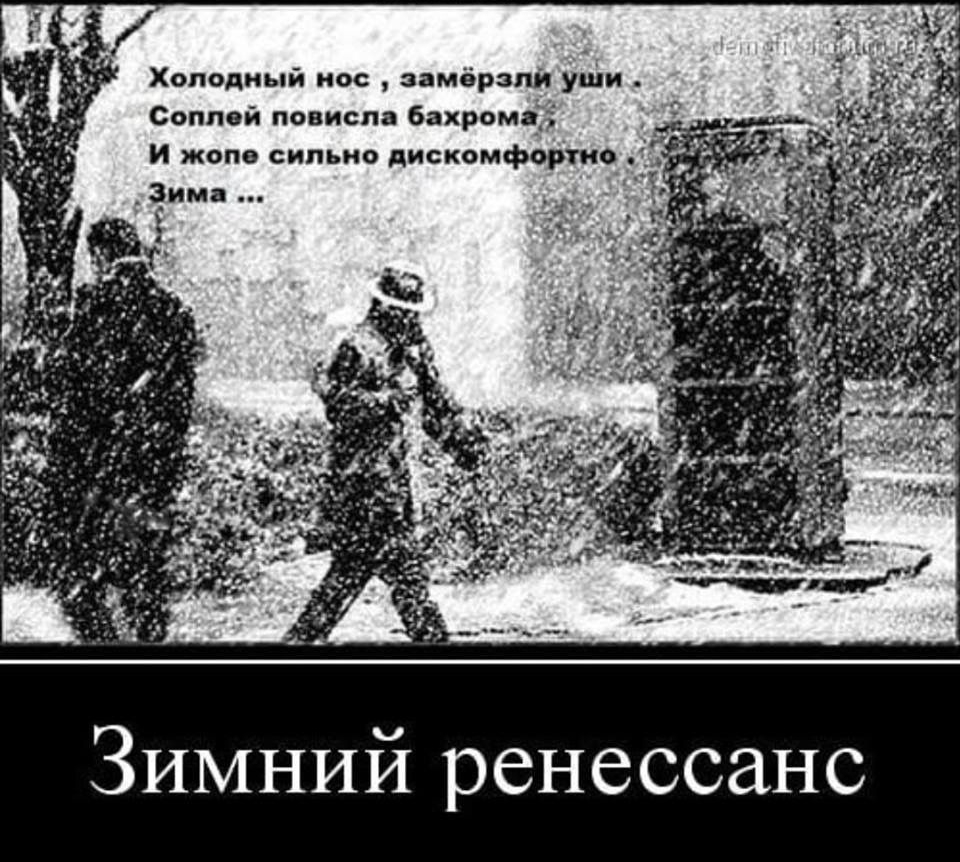 Холодный нос замёрзли уШи Соппей повисла бахрома И жопе сильно дискомфортно дима _ Зимний ренессанс