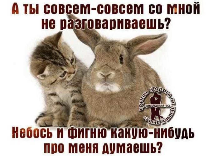 ТЫ СПВВВМ ЕППБВМ 80 Ш нипасьи Фигню наиую итить ппп меня шмавшш