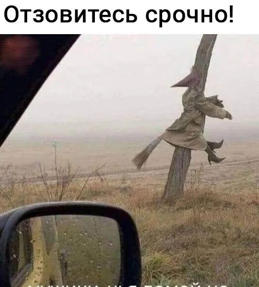 Отзовитесь срочно