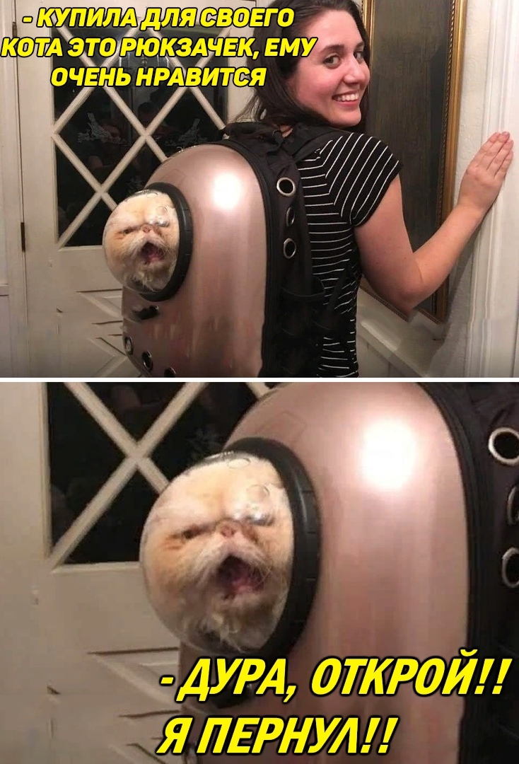 дут апгрейд ялврнулл