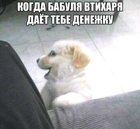 И0Гд_д БАБУПИ ВТИИАРН ддЁТ ТЕБЕДЕИЕЖШ