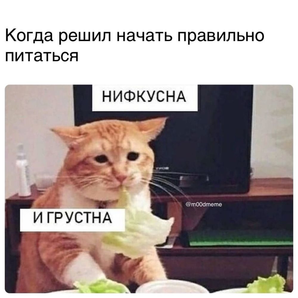 Когда решил НЭЧЭТЬ правильно питаться НИФКУСНА