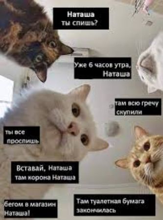 же 6 чаи под Ниши А ясный на ир инт шп пм пе вм всюгречу и мн