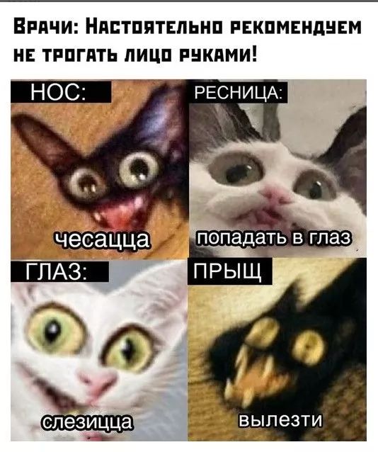 Винчи Ндптпятвпьнп РЕКПМЕНДНЕМ нь тппгпть пицп рнкдми