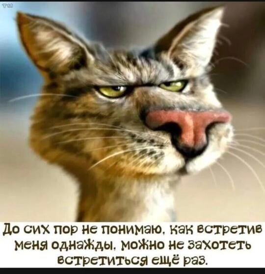 до сих пор Не понимаю как встретив меня однаЖды моЖно нв захлеть естреімтъса ещё раз