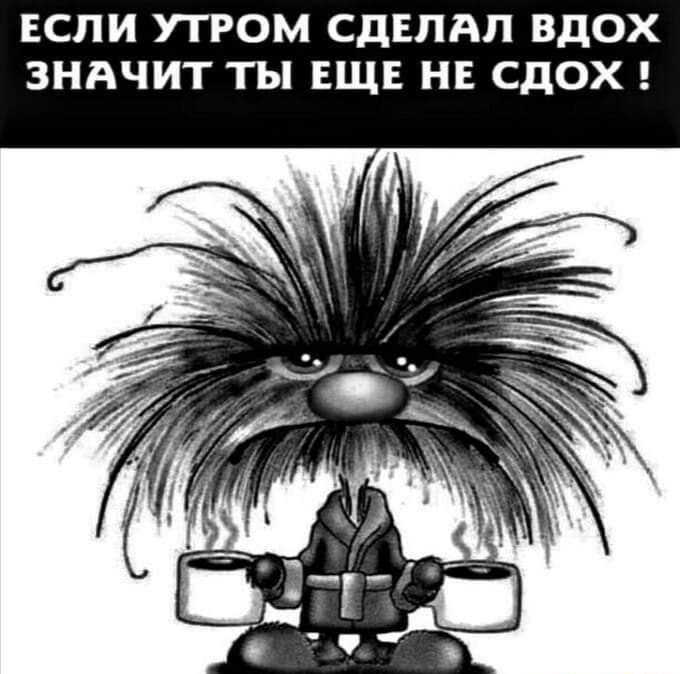 Если утром сделал вдох значит ты еще не сдох !