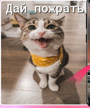 гТэЗзкрцгЬ Ъ