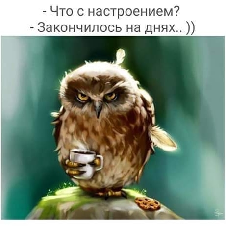 Что с настроением Закончилось на днях