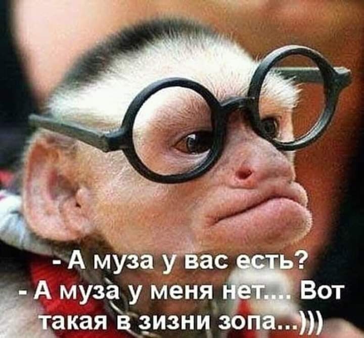 А музё у меня Вот какая изни 3 А