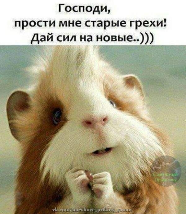 Господи прости мне старые грехи дай сил на новые