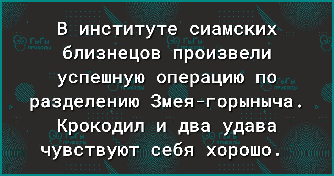 В институте сиамских близнецов произвели успешную операцию по разделению Змеягорыныча Крокодил и два удава чувствуют себя хорошо