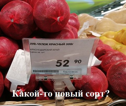 мж шитый эш тцнппдьскии и