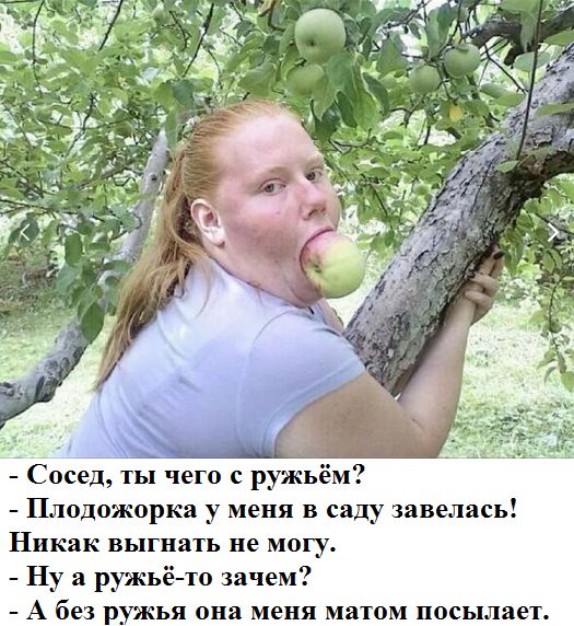 Плодожорка у меня в саду завелась Никак выгнать не могу Ну а ружьё то зачем А без ружья она меня матом посылает