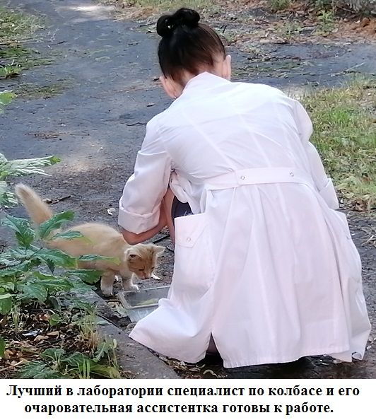Ъчший в лаборатории специалист по колбасе и его очаровательная ассистентка готовы к работе