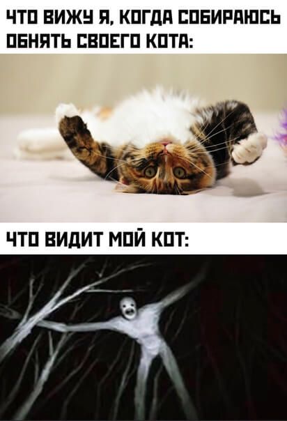 ЧТП ВИЖН Я КПГдд ЕПБИРПЮЕЬ ПЕНЯТЬ ПВПЕГП КПТП чтп видит мпй КПТ