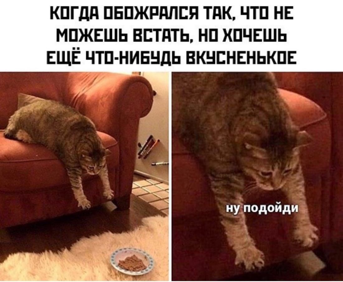 КПГдд ПЕПЖРдПЕЯ ТдК ЧТП НЕ МЧЖЕШЬ ВЕТдТЬ НП ХПЧЕШЬ ЕЩЕ ЧТП НИБНДЬ ВКНЕНЕНЬКПЕ ну подойди