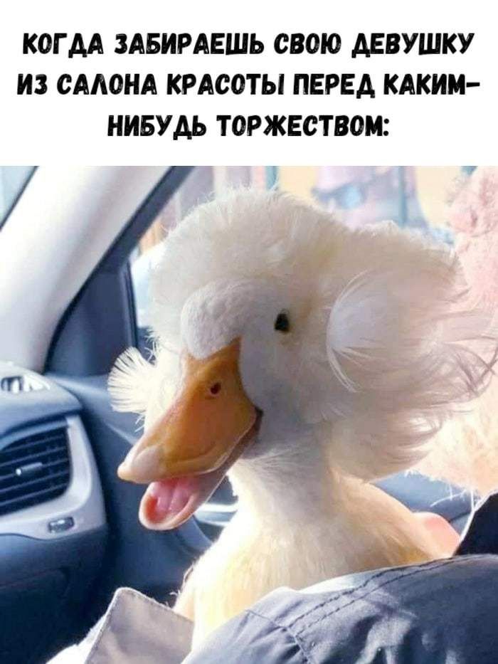 КОГ АА ЗАБИРАЕШЬ СВОЮ АЕВУШКУ ИЗ САЛОНА КРАСОТЫ ПЕРЕД КАКИМ НИБУАЬ ТОРЖЕСТВОМ