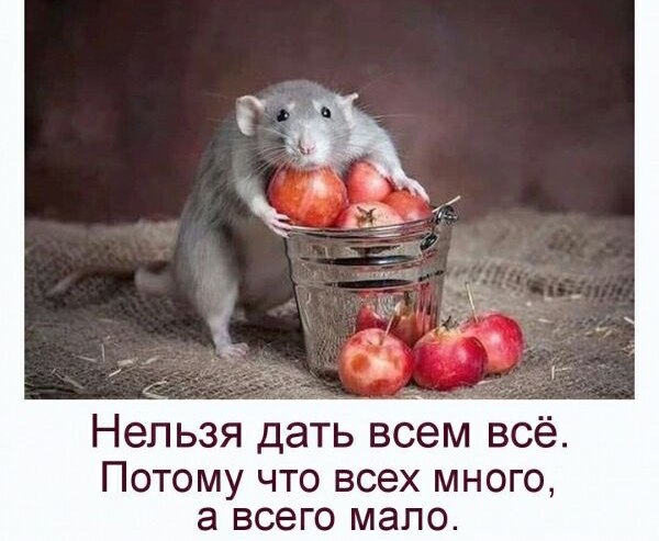 Нельзя дать всем всё Потому что всех много а ВСЭГО МЭЛО