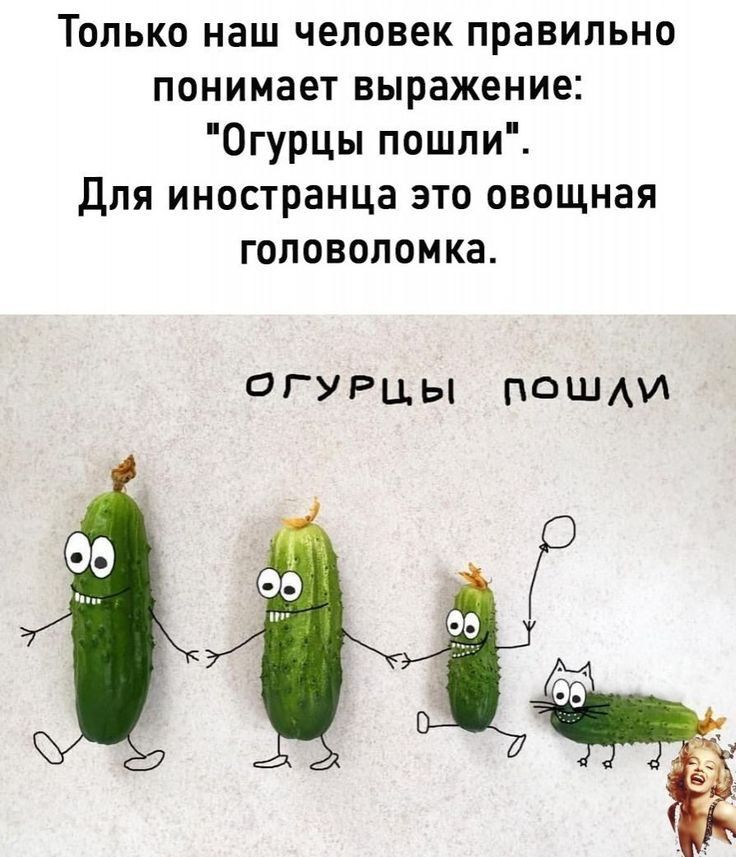 ТЬльконацлчеловекправильно понимаетвыражениа Огурцьппошлиі Дляиностранцазтоовощная головоломка огурцы поши