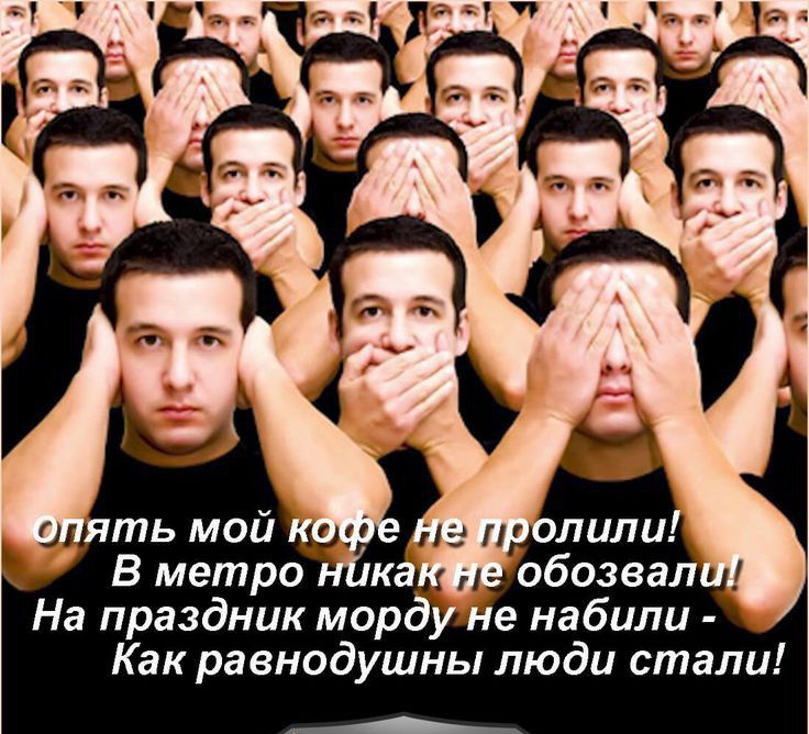 К и На праздник морд Как равнодушны люди стали