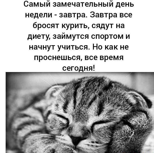Самый замечательный день недели завтра Завтра все бросят курить сядут на диету займутся спортом и начнут учиться Но как не проснешься все время