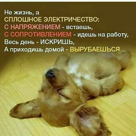 Не жизнь а СПЛОШНОЕ ЭЛЕКТРИЧЕСТВО С НАПРЯЖЕНИЕМ встаешь С СОПРОТИВЛЕНИЕМ идешь на работу Весь день ИСКРИШЬ А приходишь дпмий ВЫРУБАЕШЬСЯ