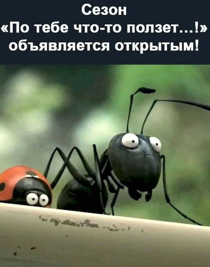Сезон По тебе что то ползет объявляется открытым