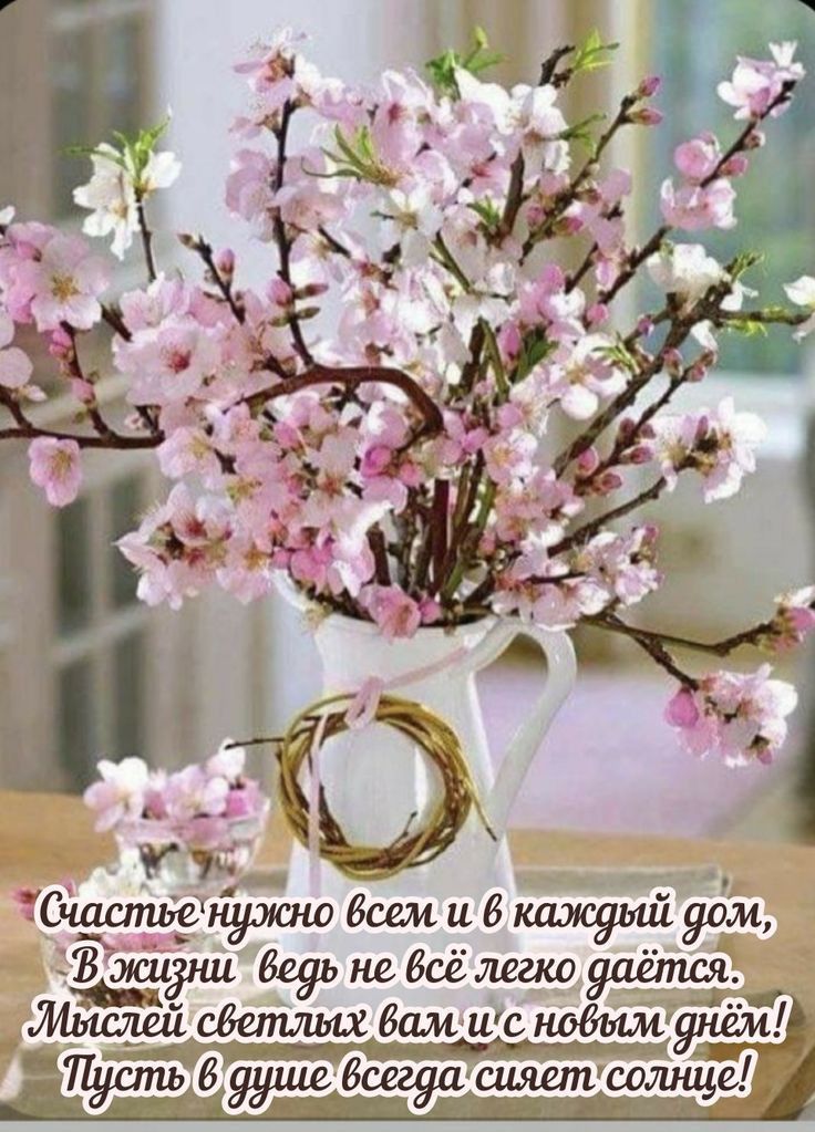 Счаапьёнджно бсем и В каждый дом ЁЗЗМЗНЦ бедьнебсёлегішдаетсят _ мыслшсбетлшбамиснобымднем Пдстьб ддше всегда ашипсоілнце