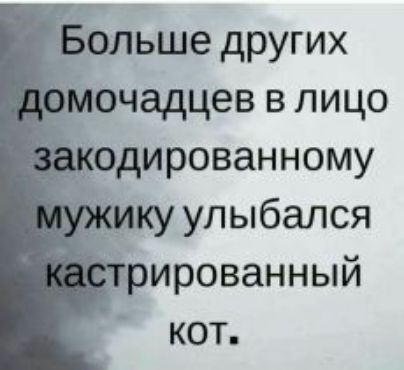 ольше других чадцев в лицо _одированному улыбался ированный кот