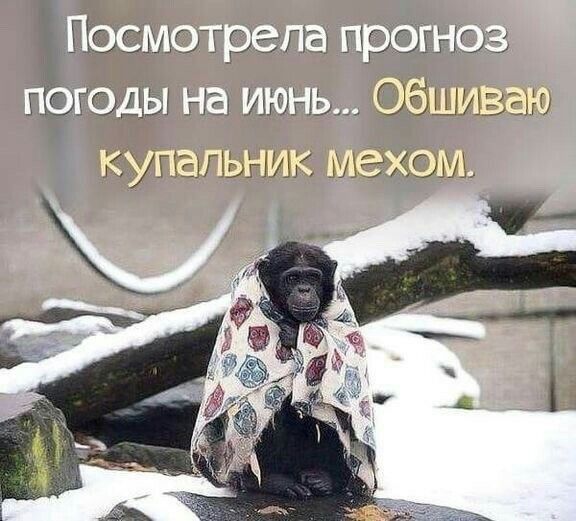 По СнЮГЦЗГГт ГЮОГНЭ гіэгоды На Огішизам