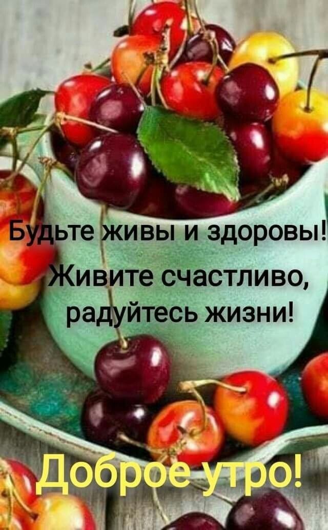ьте ивы и здоровы ив те бйастливц