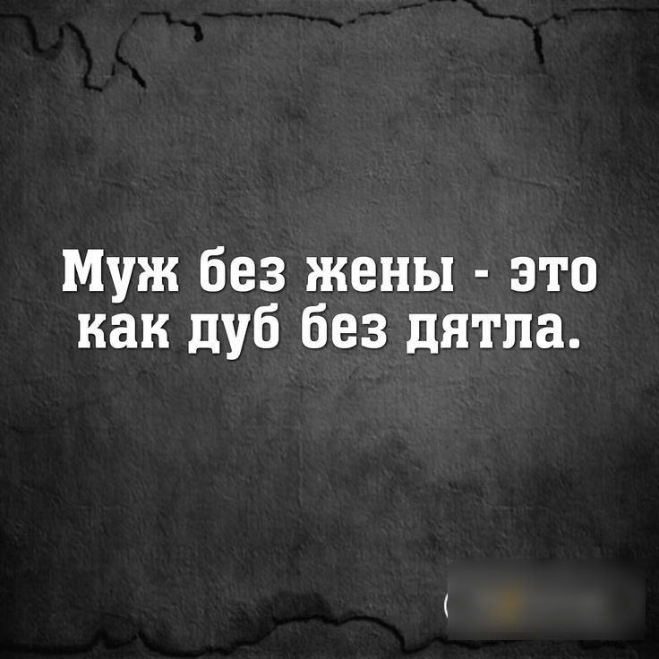 Муж без жены это как дуб без дятла