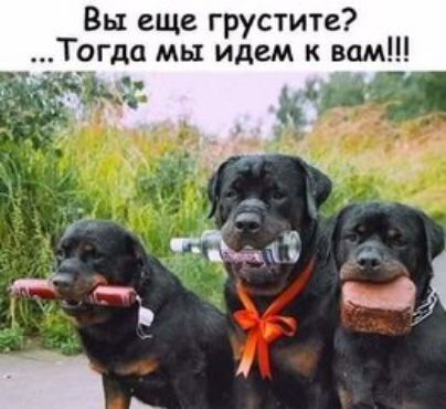 Вы еще грустите о_гда мы идем к вам да т р С __