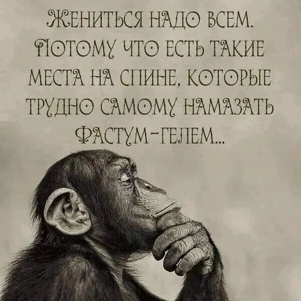 ЖЕНИТЬСЯ НЁШО ВСЕМ ПФТОМХ ЧТО ЕСТЬ ТЕ МЕСТЁ СПИНЕ КОТОРЫЕ ТРХДНФ СЁМОМХ НЁМЁЗЖТЬ ФЁСТХМТЕЛЕМ