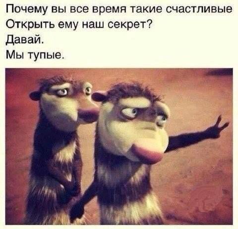 Почему вы все время такие счастливые Открыть ему наш секрет Давай Мы тупые