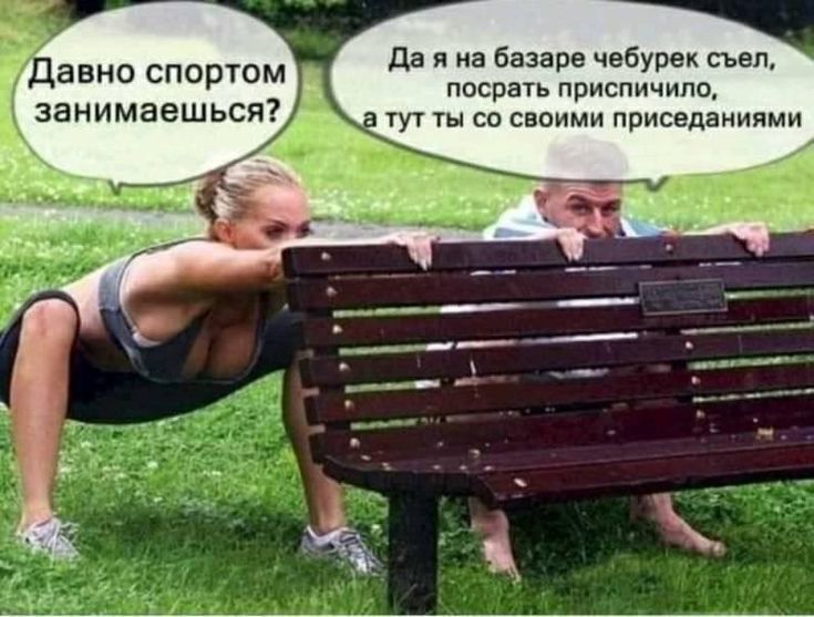 авно спортом К занимаешься __ Да я на базаре чебурек съел посрать приспичило тут ты со своими приседаниями