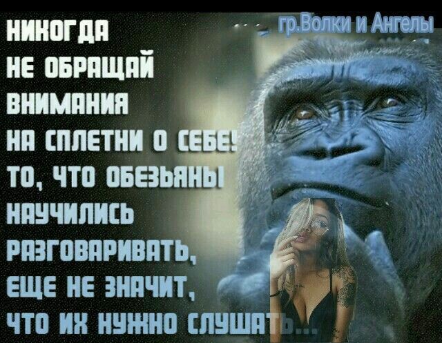 ниногпп не парящий внимпнип нп сппетии вища то что пвезь научились рпзгпвпгивит еще не знпчит чтп ин ншннп слншпі
