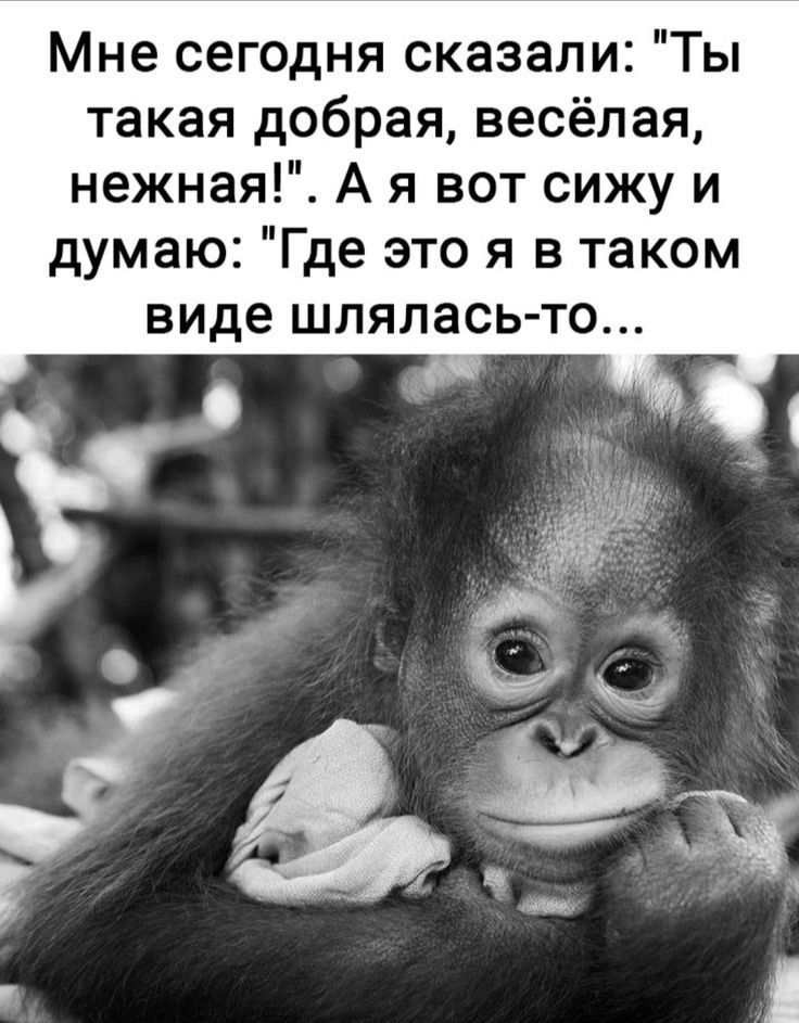 Мне сегодня сказали Ты такая добрая весёлая нежная А я вот сижу и думаю Где это я в таком виде шлялась то
