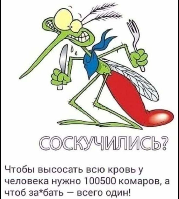 соскучипМсы Чтобы высосать всю кровь у человека нужно 100500 комаров а чтоб забать всего один