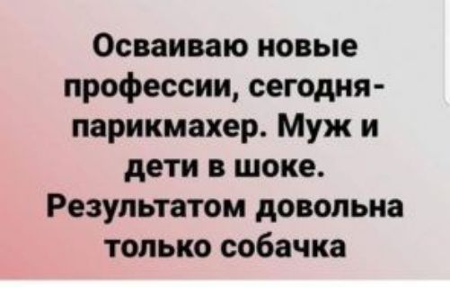 Осваиваю новые профессии сегодня парикмахер Муж и дети в шоке Результатом довольна только собачка