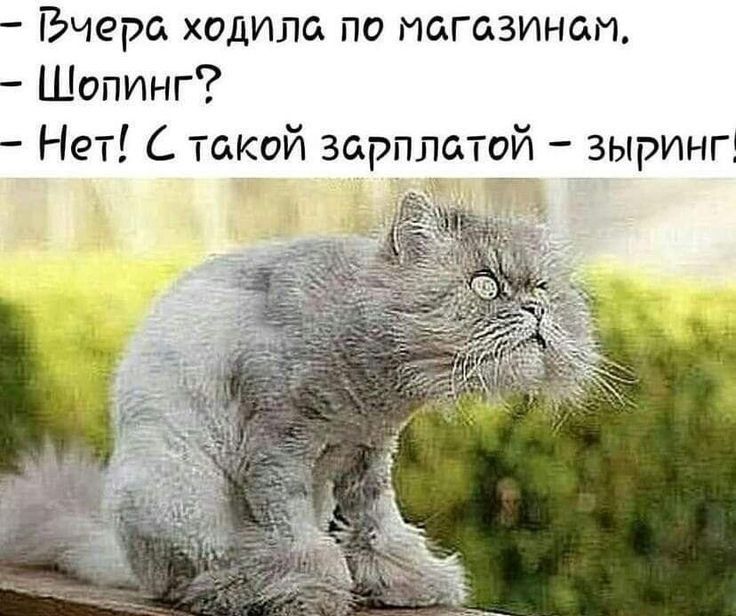Вчера ходила по магазинам Шопинг Нет С такой зарплатой зырингі