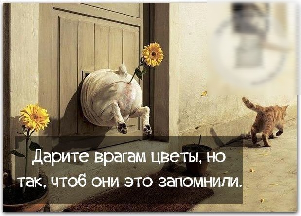 дарите врагам цветы но так чтоб они это запомнили