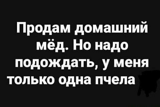 Продам домашний мёд Но надо подождать у меня только одна пчела
