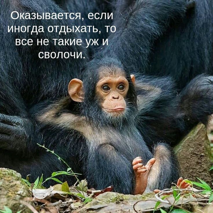 да Йа дфя если Йнюгда оТдЫхать тб все не такиёуж сволочи