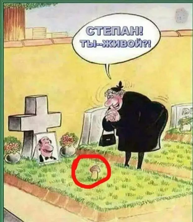 жп