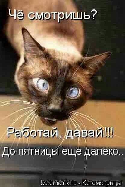 Коютагпхш котоматрицы