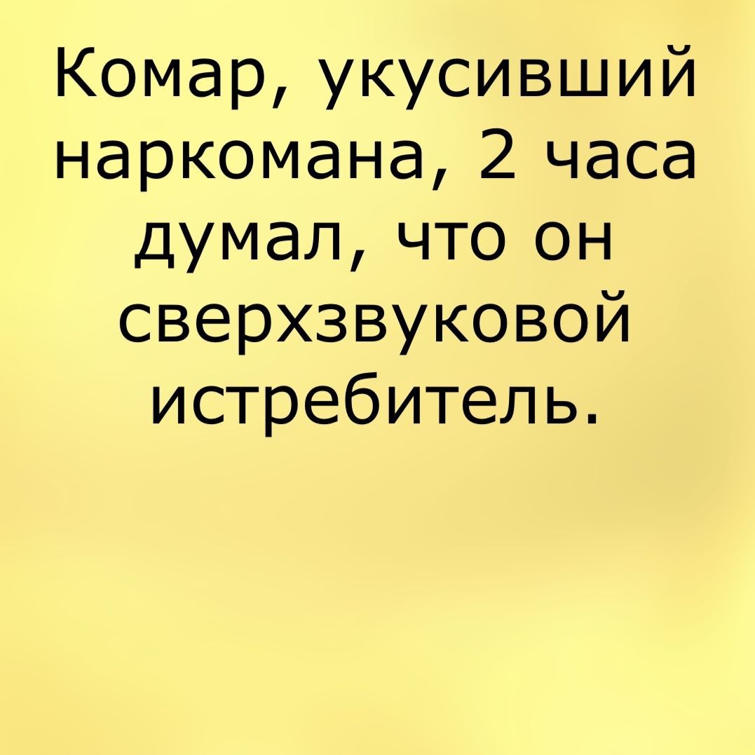 Комар укусивший наркомана 2 часа думал что он сверхзвуковой истребитель