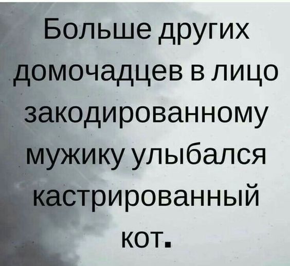 Больше других ч Мочадцев в лицо одированному ику улыбался трированный кот